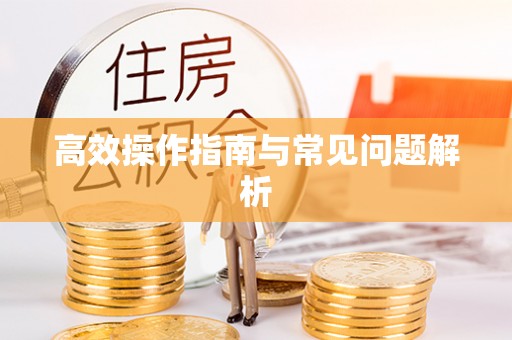 海曙高效操作指南与常见问题解析